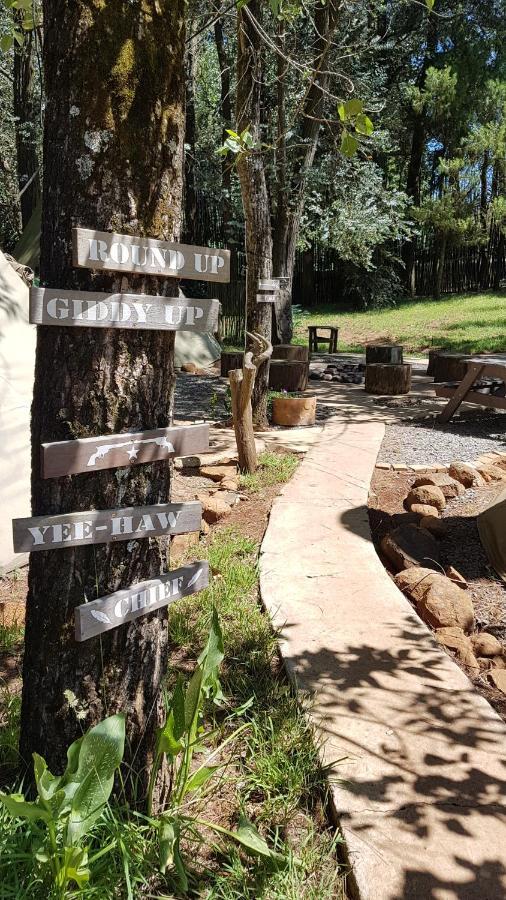 Nguni Moon Tepee Camp Hotel Underberg Exterior photo