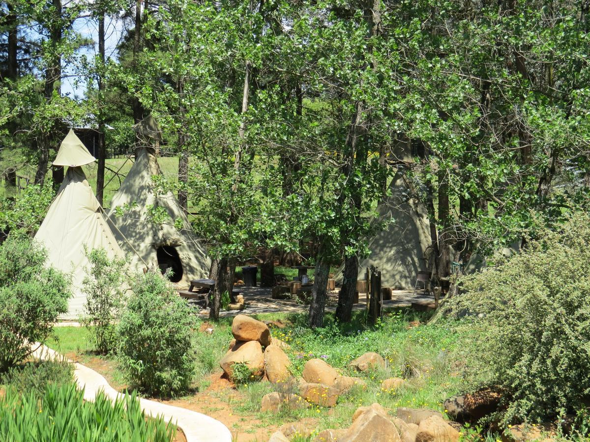Nguni Moon Tepee Camp Hotel Underberg Exterior photo