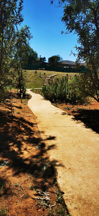 Nguni Moon Tepee Camp Hotel Underberg Exterior photo